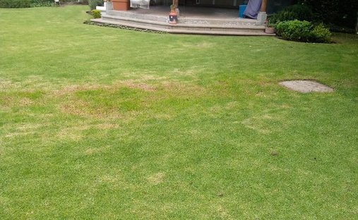 Maison à Quito, Province de Pichincha, Équateur 1