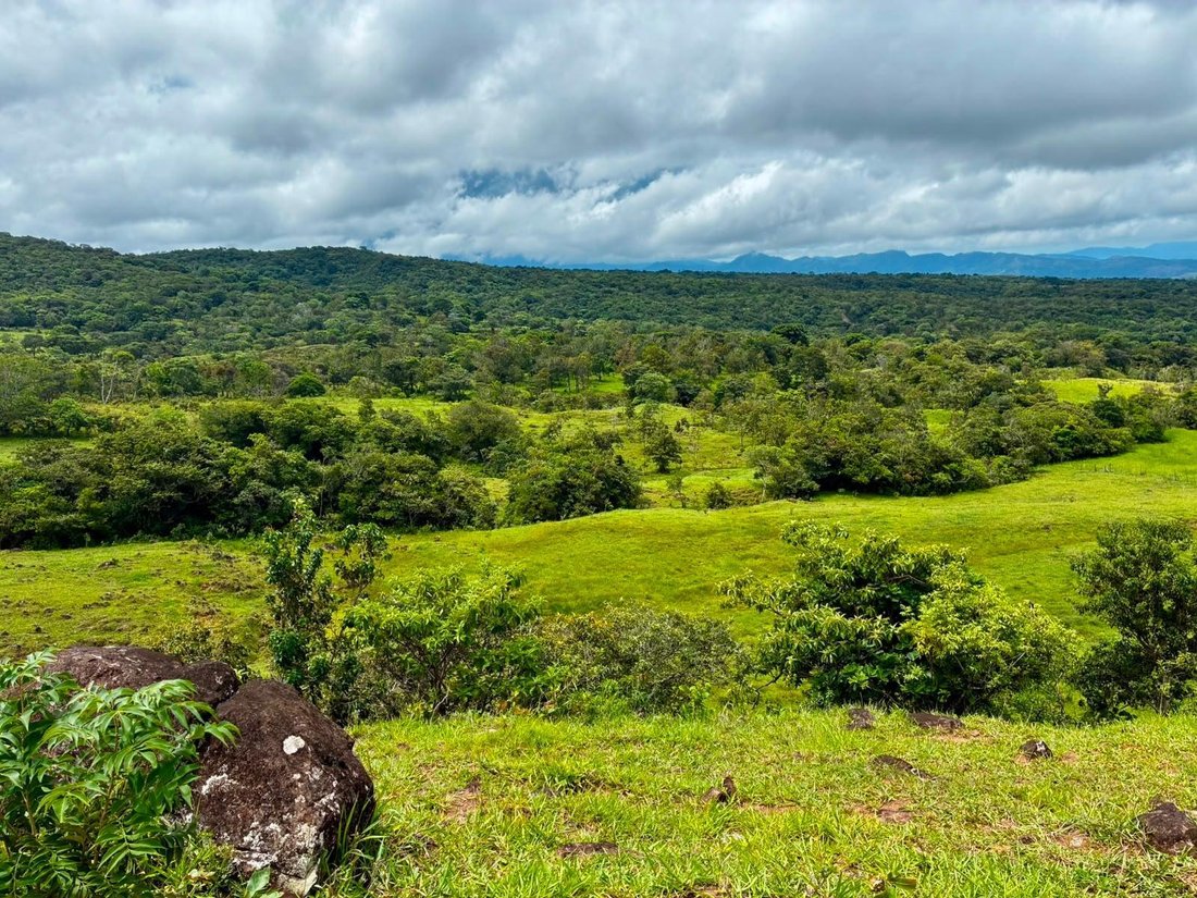 Finca in Caldera, Chiriquí Province, Panama 3 - 18666153