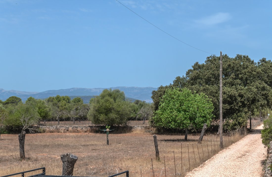 Land in Algaida, Balearic Islands, Spain 4 - 18659021