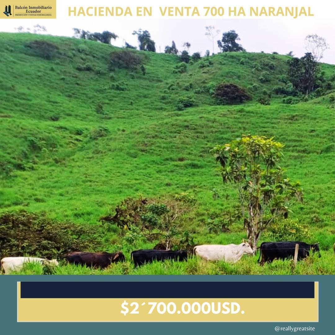 Farm Ranch in Naranjal, Guayas, Ecuador 4 - 18661461