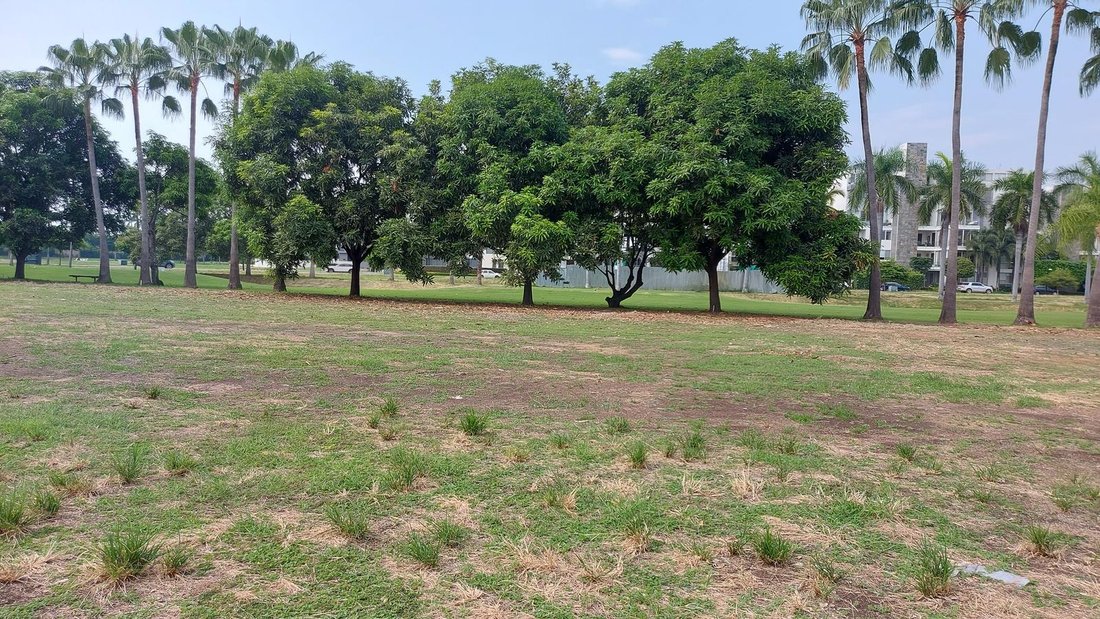Land in Samborondón, Guayas, Ecuador 3 - 18661232