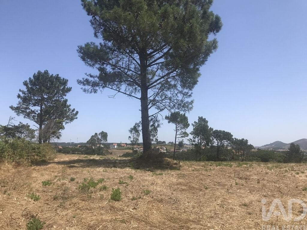 Land in Mafra, Lisbon, Portugal 5 - 18666852