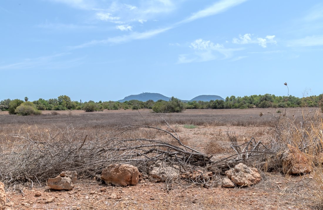Land in Algaida, Balearic Islands, Spain 3 - 18659021