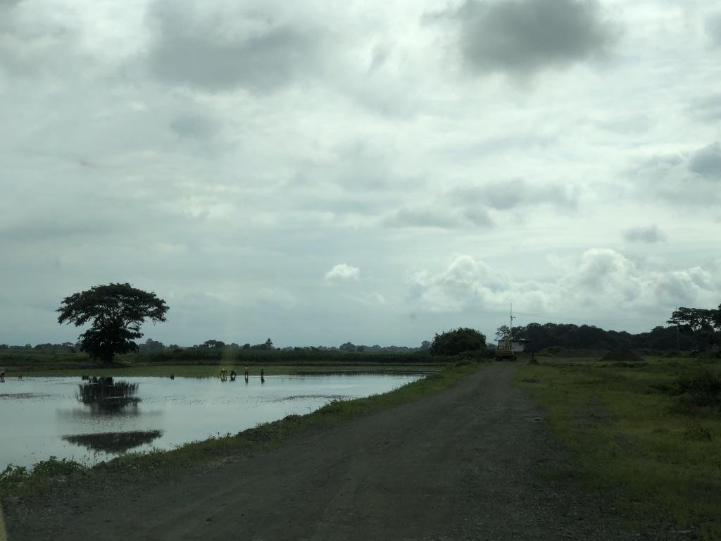 Land in Samborondón, Guayas, Ecuador 2 - 18660705