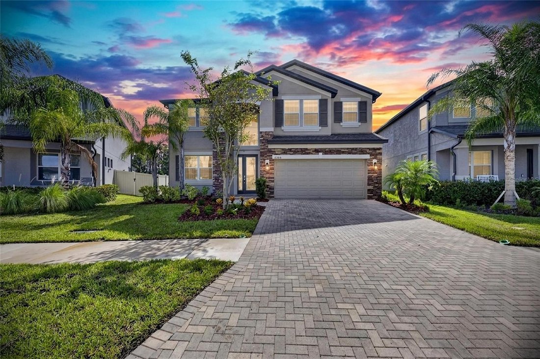 House in Tampa, Florida, United States 1 - 18663010