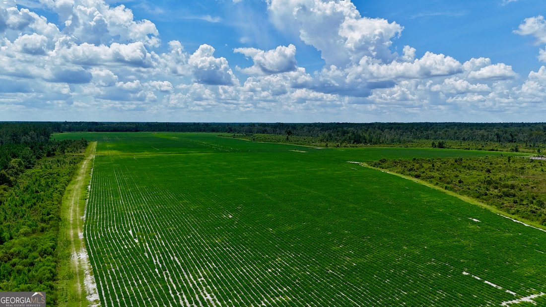 Farm Ranch in Alma, Georgia, United States 5 - 18663160