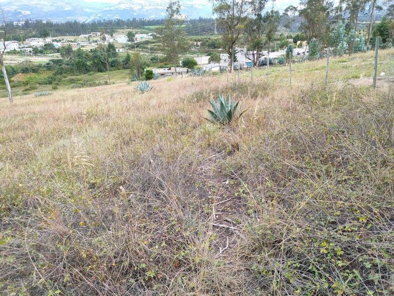 Land in Quito, Pichincha, Ecuador 3 - 18661411