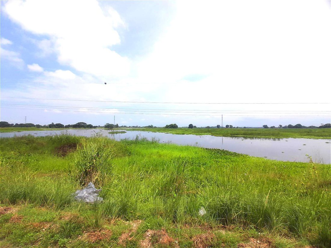 Land in Babahoyo, Los Rios, Ecuador 2 - 18660108