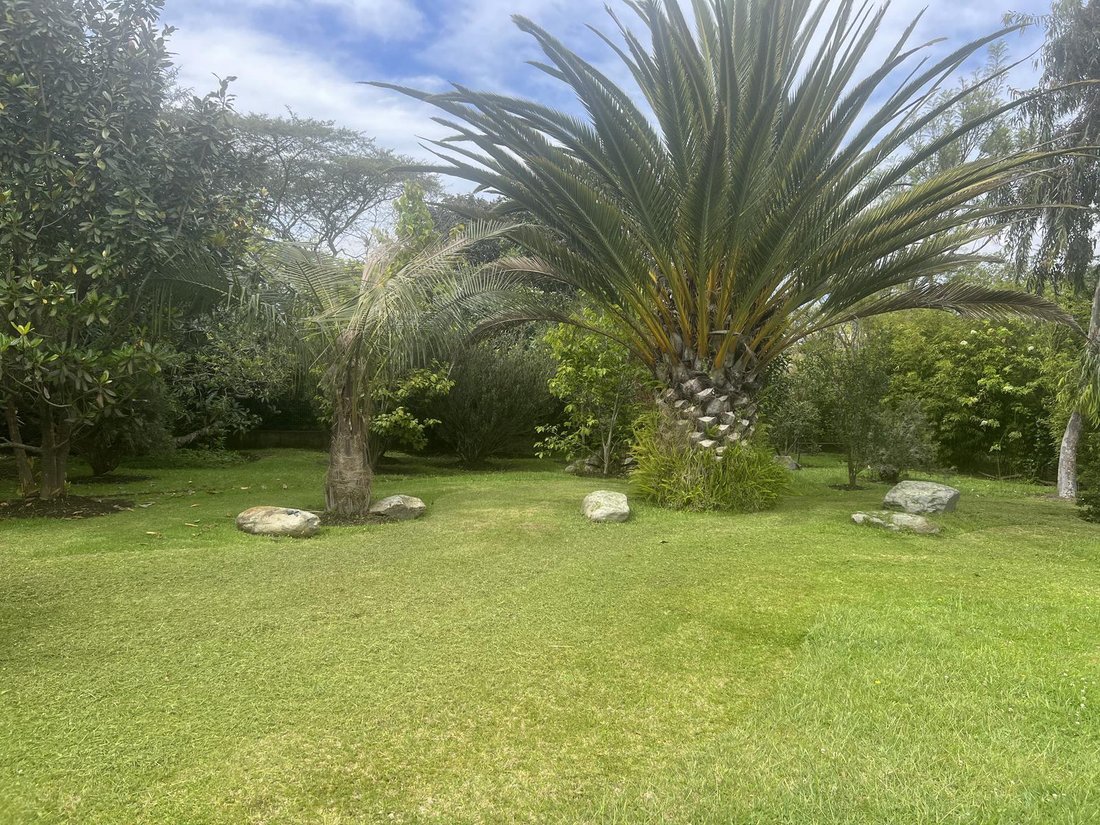 Land in Quito, Pichincha, Ecuador 5 - 18661677