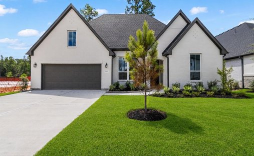 House in Magnolia, Texas, United States 1
