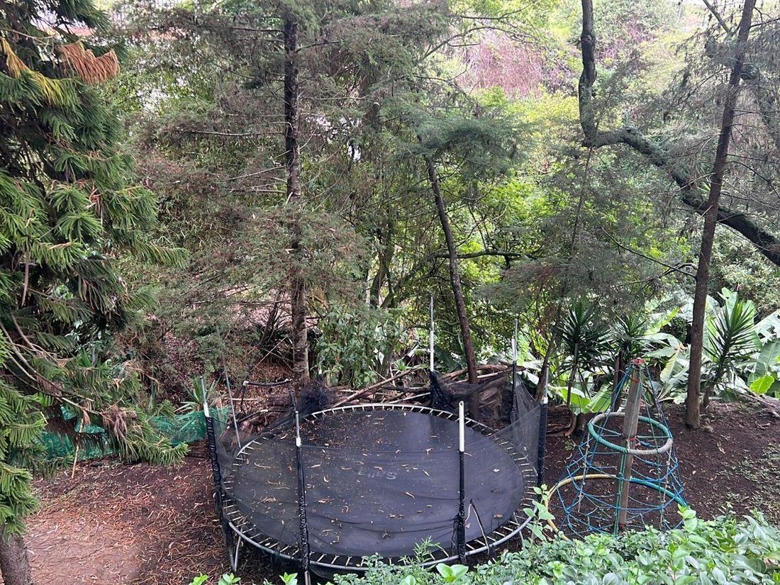 Land in Quito, Pichincha, Ecuador 2 - 18661630