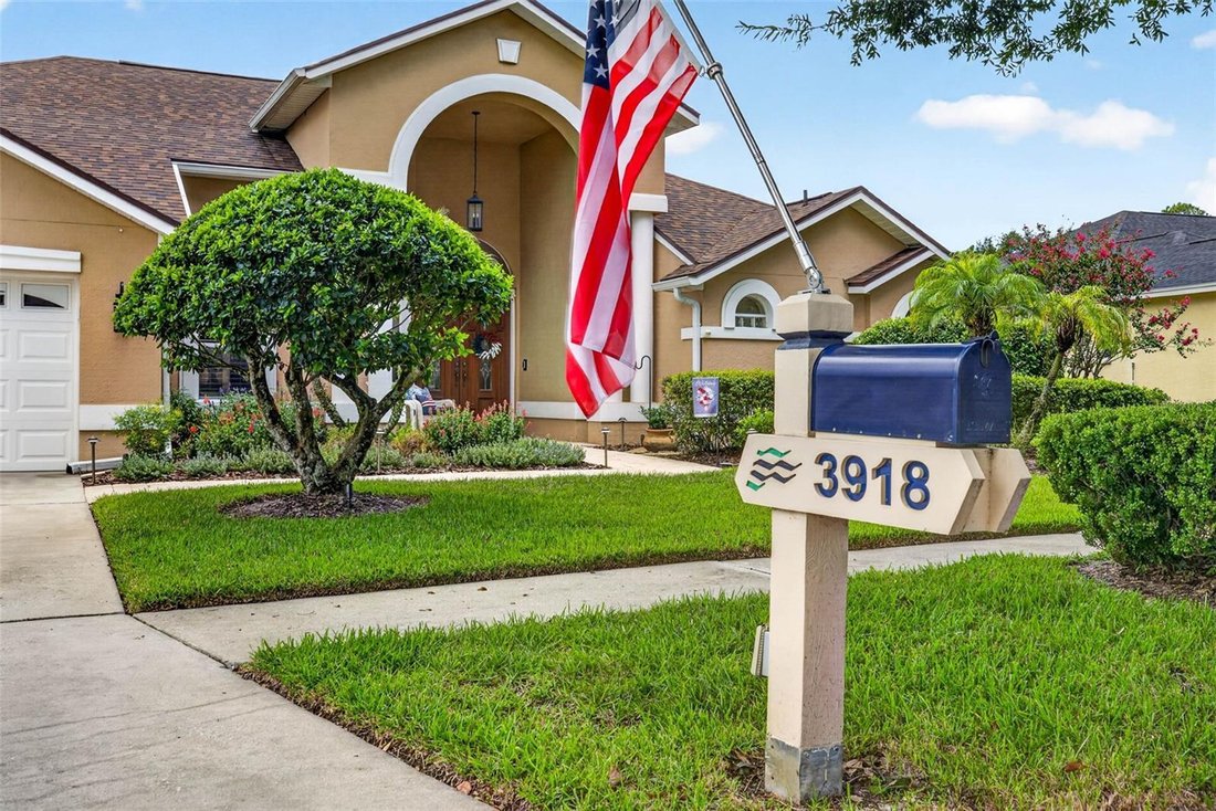 House in Valrico, Florida, United States 4 - 18662969