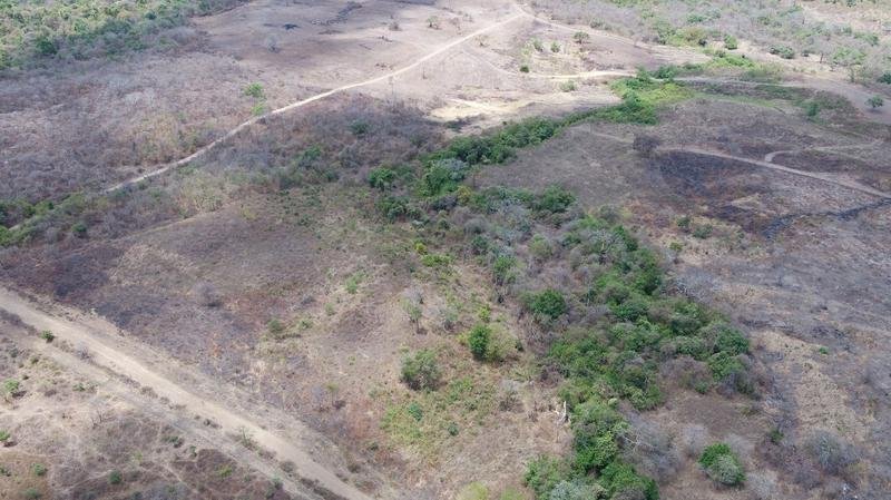 Land in Guayaquil, Guayas, Ecuador 3 - 18659924
