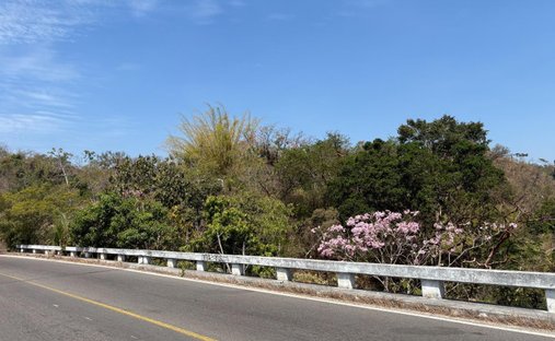 Land in Las Pintadas, Jalisco, Mexico 1