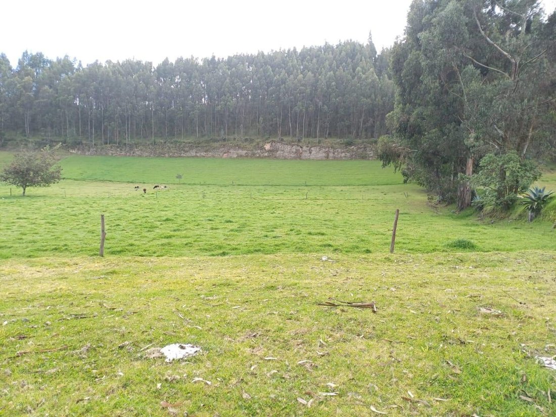 Land in Cayambe, Pichincha, Ecuador 3 - 18661534