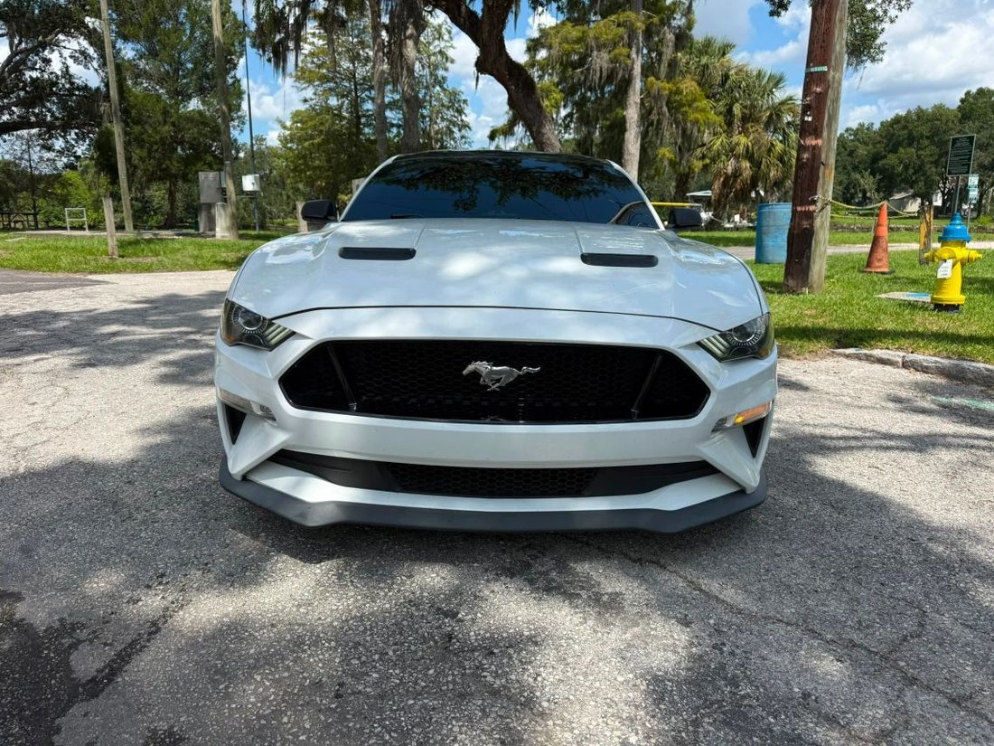Coupe in Tampa, FL, United States 3 - 18664767