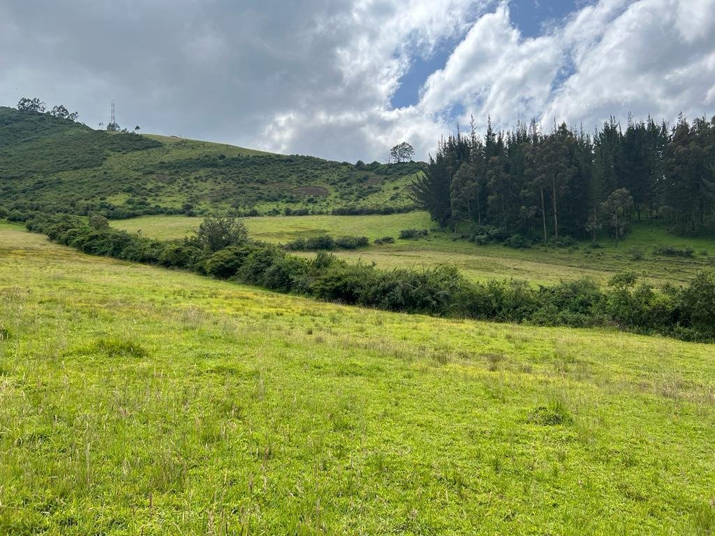 Farm Ranch in Quito, Pichincha, Ecuador 4 - 18661675