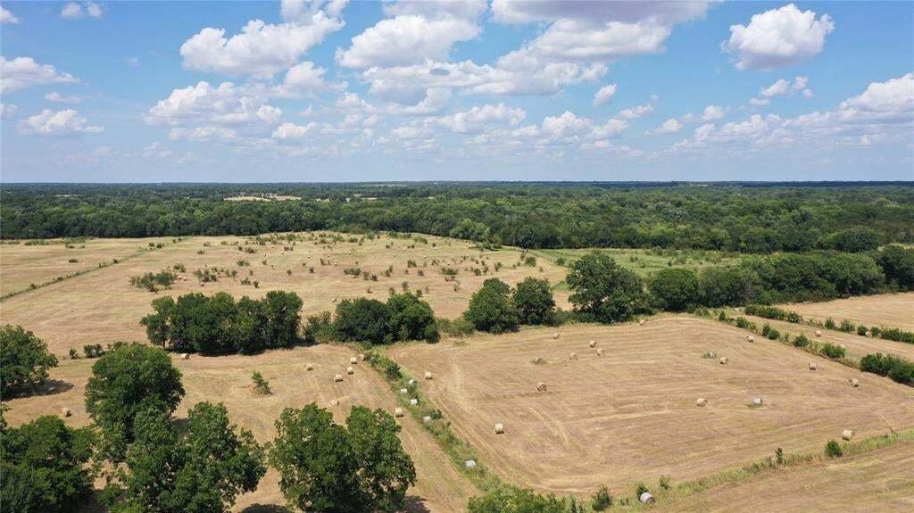 Farm Ranch in Celeste, Texas, United States 3 - 17952232