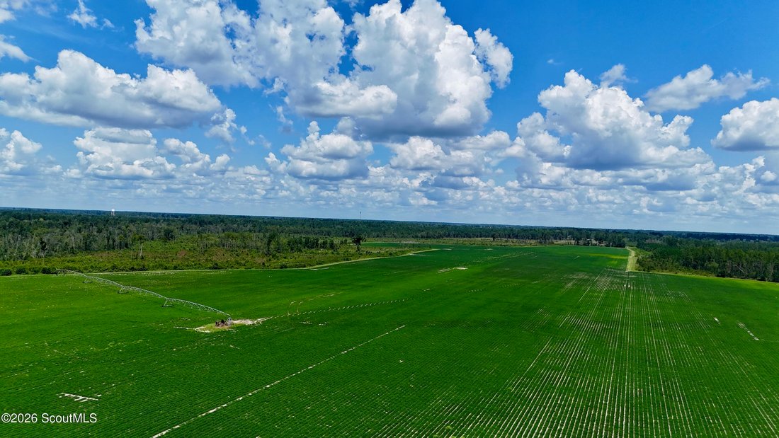 Farm Ranch in Alma, Georgia, United States 1 - 18663170