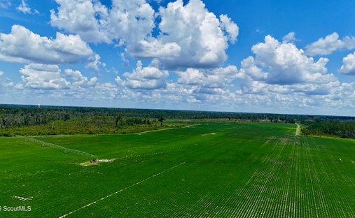 Farm Ranch in Alma, Georgia, United States 1