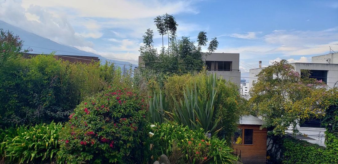 Land in Quito, Pichincha, Ecuador 3 - 18660209
