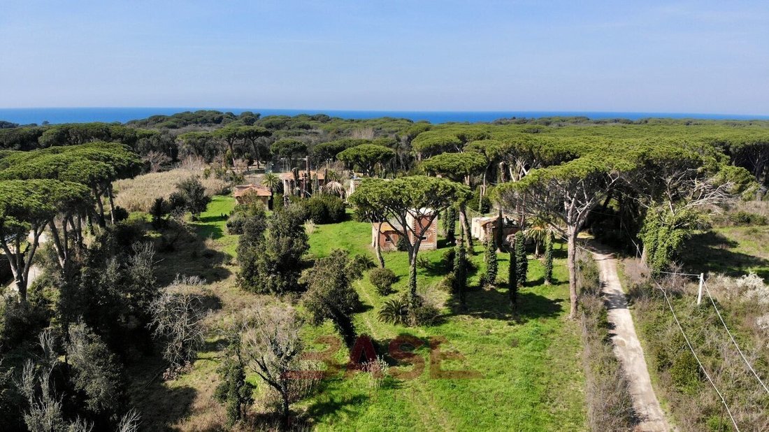 Estate in Castagneto Carducci, Tuscany, Italy 3 - 18668072