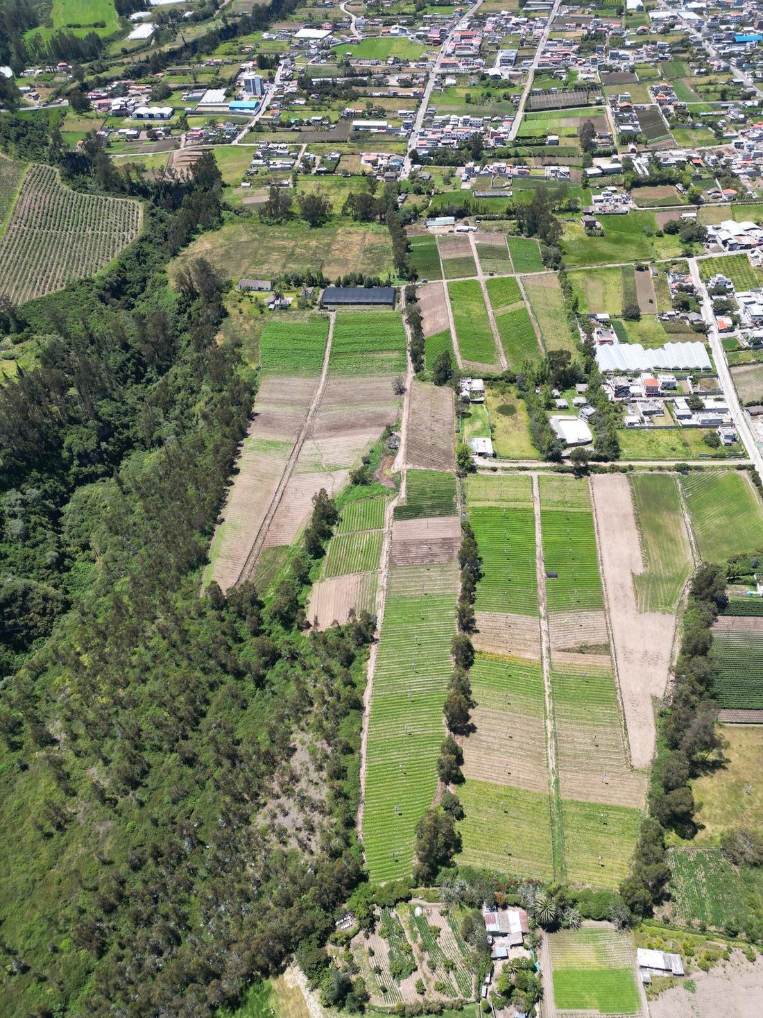 Land in Ascazubi, Pichincha, Ecuador 3 - 18661504