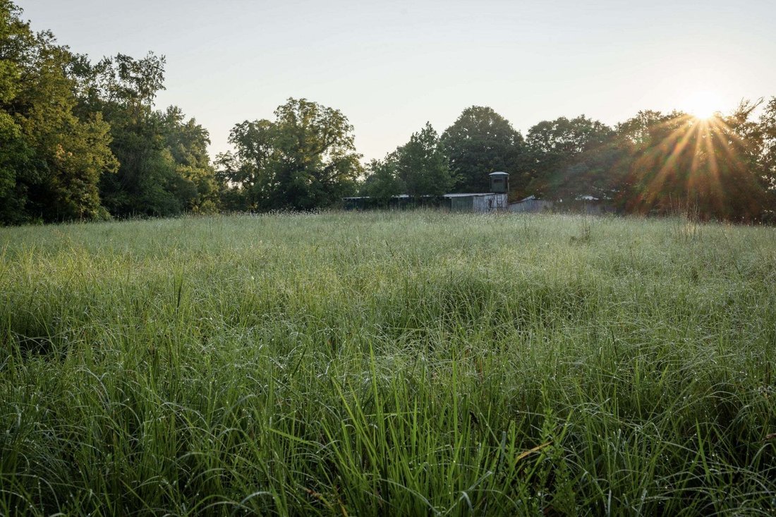 Haus in White Bluff, Tennessee, Vereinigte Staaten 1 - 18659560