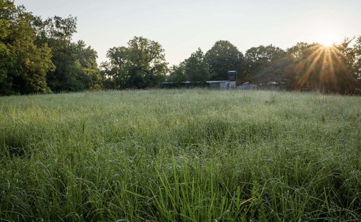 Haus in White Bluff, Tennessee, Vereinigte Staaten 1