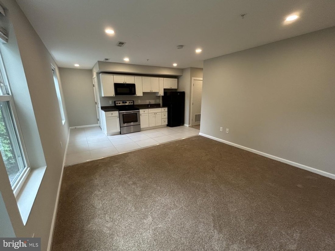 House in Washington, District of Columbia, United States 3 - 18670532