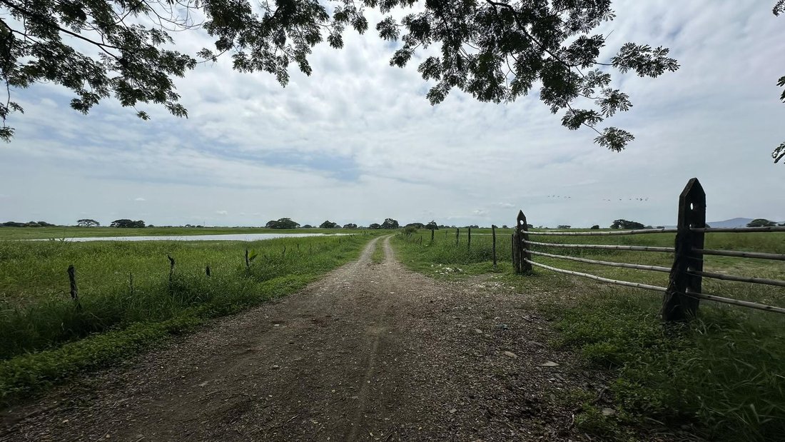 Land in Samborondón, Guayas, Ecuador 3 - 18660781