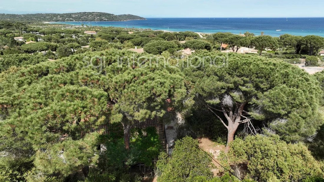 House in Ramatuelle, Provence-Alpes-Côte d'Azur, France 4 - 16246979