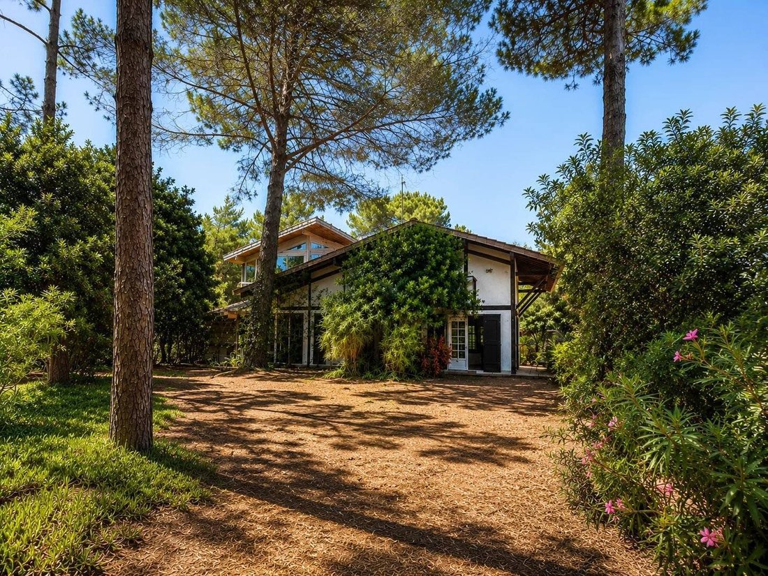 House in Centre Cap Ferret, Lège-Cap-Ferret, France 1 - 18236709