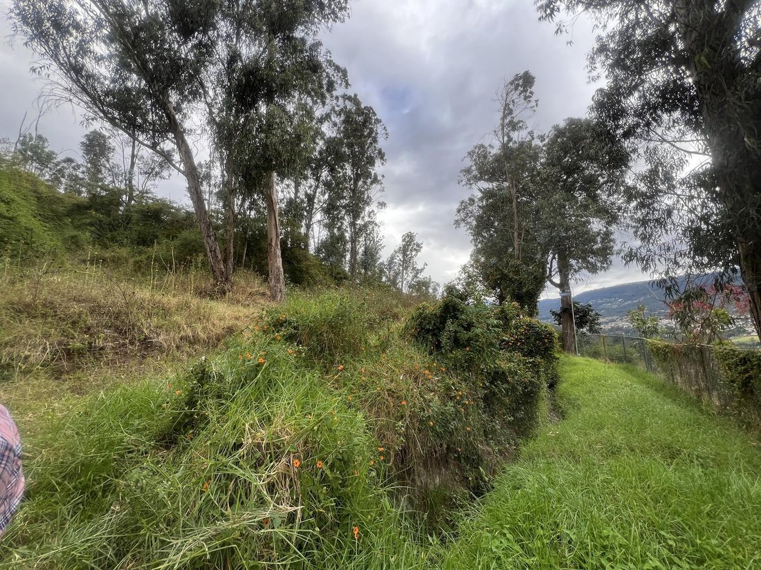 Land in Quito, Pichincha, Ecuador 4 - 18661554