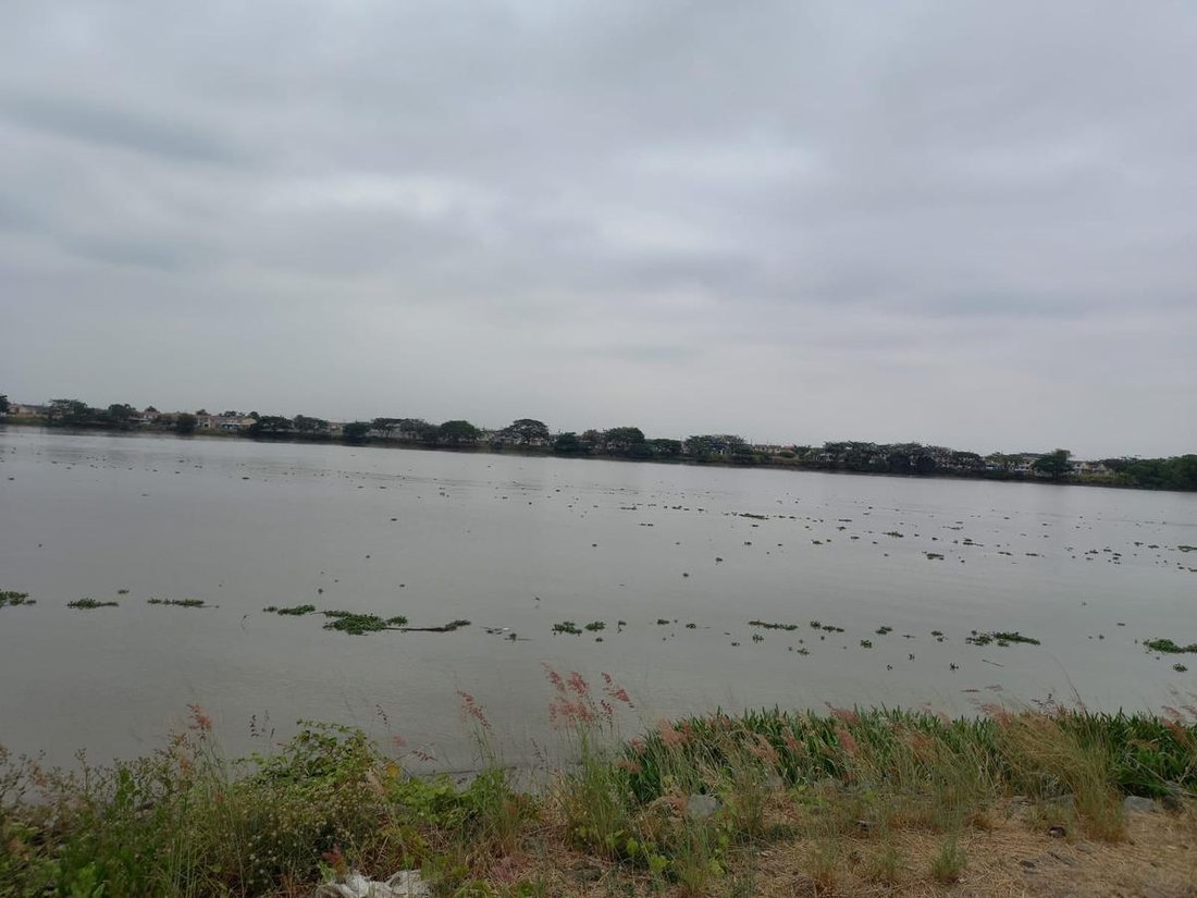 Land in Guayaquil, Guayas, Ecuador 4 - 18660303