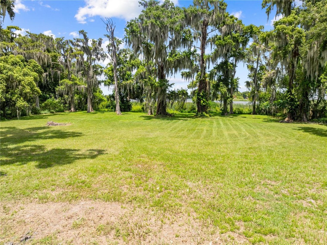 House in Kissimmee, Florida, United States 5 - 18662996