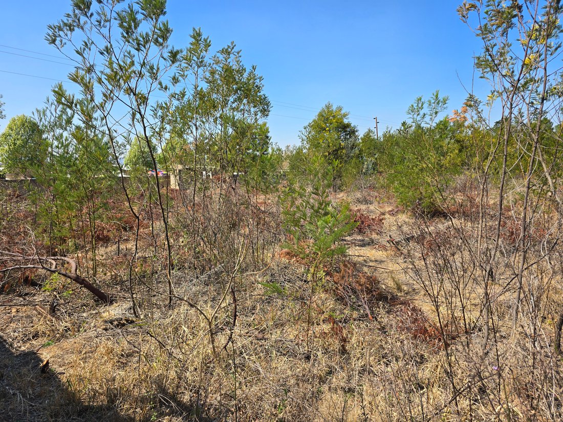 Land in Shere, Gauteng, South Africa 4 - 18672774
