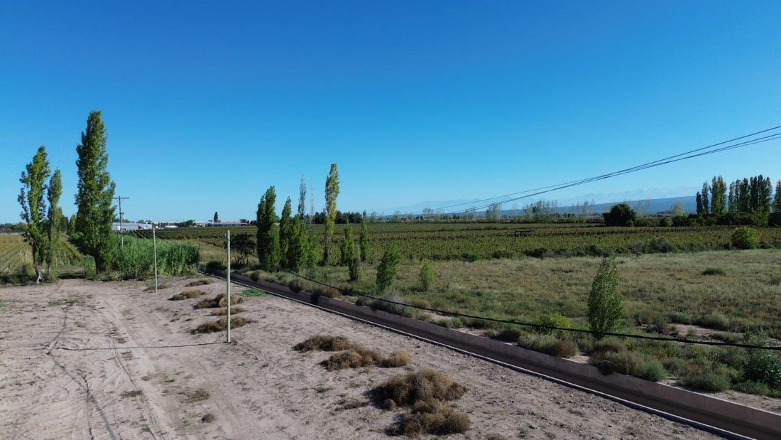 Farm Ranch in Perdriel, Mendoza Province, Argentina 1 - 18671785