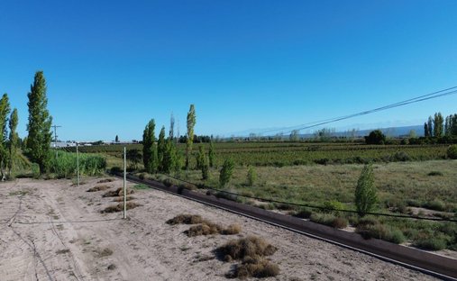 Farm Ranch in Perdriel, Mendoza Province, Argentina 1