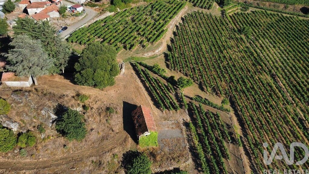 Farm Ranch in Figueiro (Santiago e Santa Cristina), Porto District, Portugal 3 - 18666845