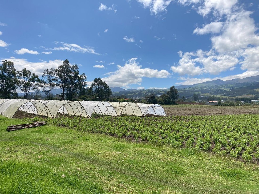 Land in Quito, Pichincha, Ecuador 2 - 18660228