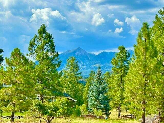 House in Flagstaff, Arizona, United States 2 - 18661807
