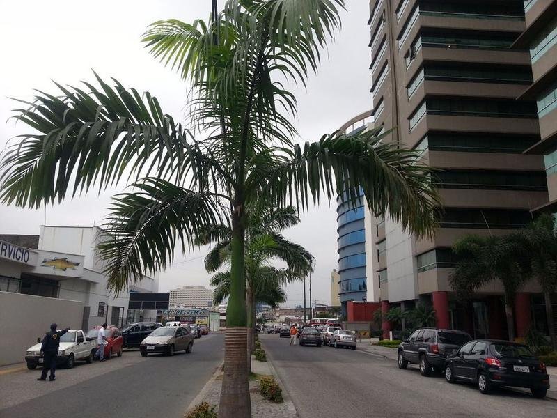 Apartment in Guayaquil, Guayas, Ecuador 1 - 18659928