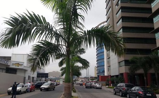 Apartment in Guayaquil, Guayas, Ecuador 1