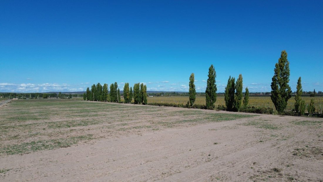 Farm Ranch in Perdriel, Mendoza Province, Argentina 4 - 18671785