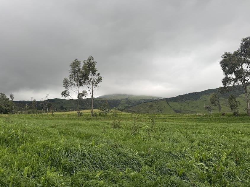 Farm Ranch in Quito, Pichincha, Ecuador 1 - 18661437
