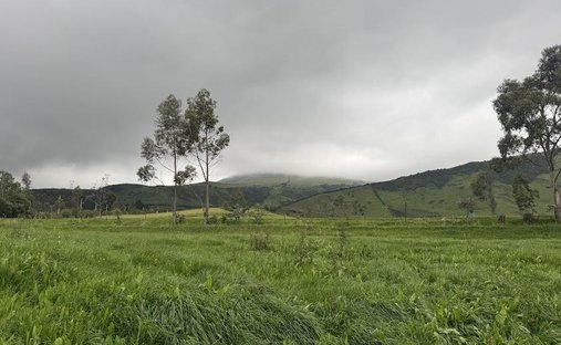 Farm Ranch in Quito, Pichincha, Ecuador 1