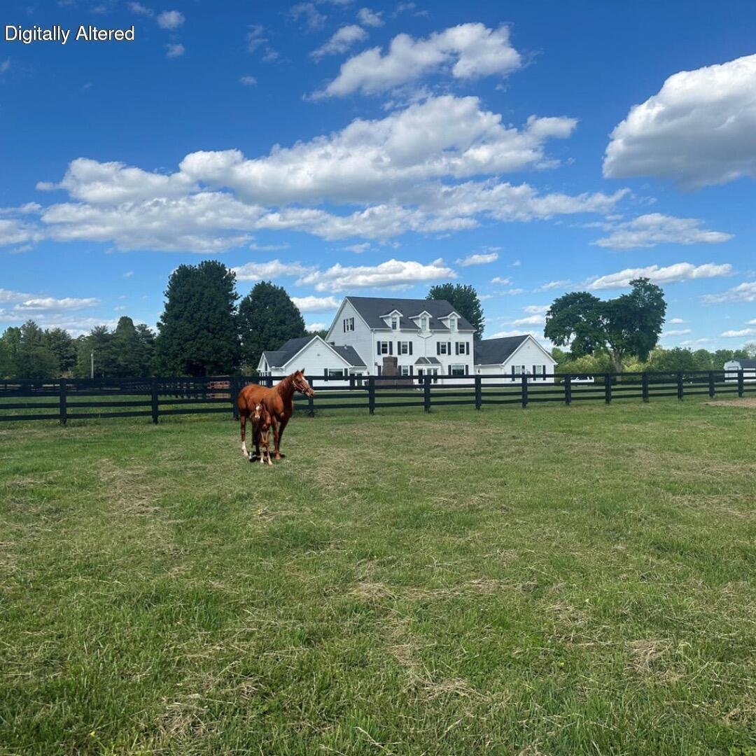 House in Lexington, Kentucky, United States 5 - 18177345