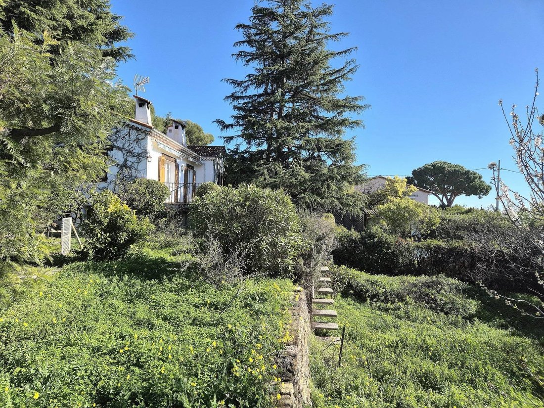 House in Cannes, Provence-Alpes-Côte d'Azur, France 1 - 17146457