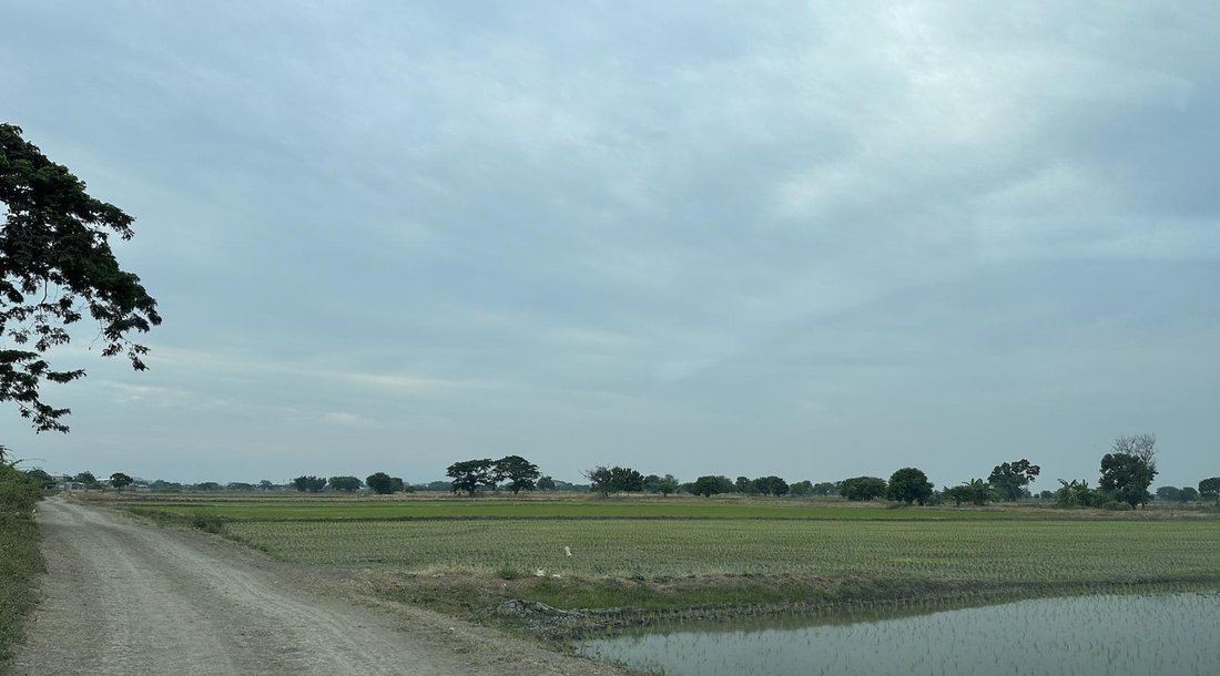 Land in Samborondón, Guayas, Ecuador 1 - 18660705